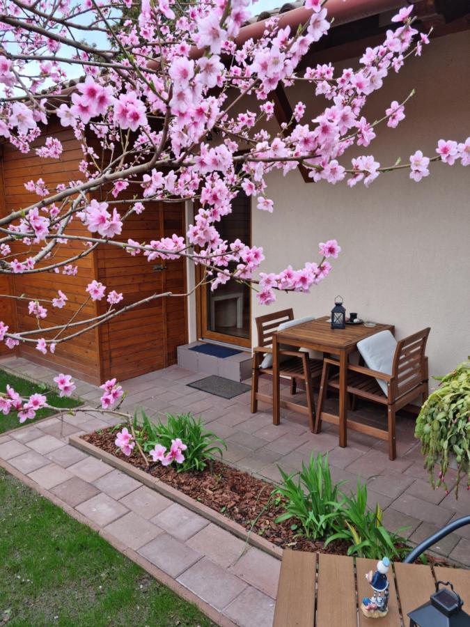 Haeuschen Viktoria Holiday home Zamardi